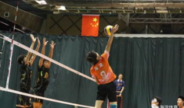 排球比赛视频,精彩瞬间回顾